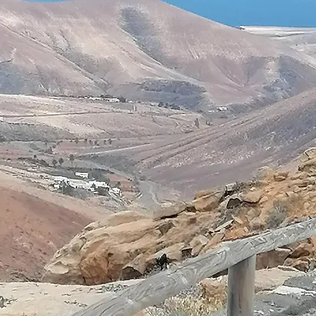 度假居 The Bubble